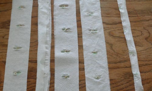 Making Seed Tape