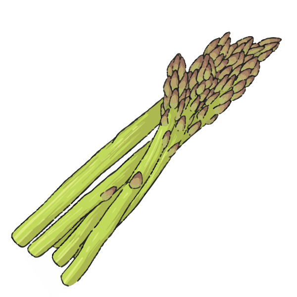 Companion Planting: Learn which plants grow well together and which pairings you should avoid 2 Asparagus
