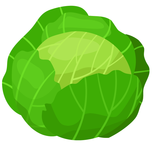 Companion Planting: Learn which plants grow well together and which pairings you should avoid 8 Cabbage