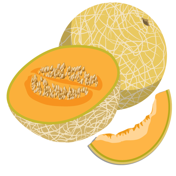 Canteloupe