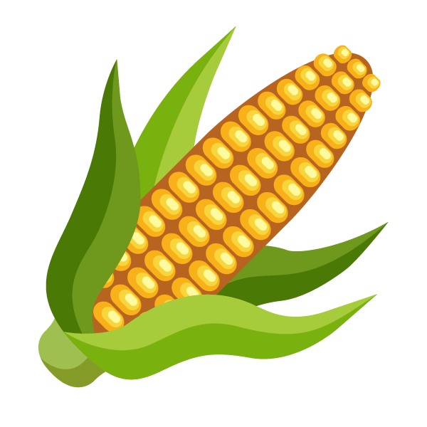 Corn