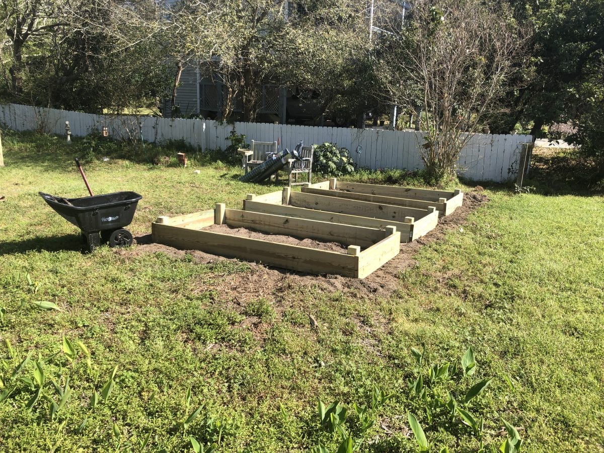 Raised garden beds, Victory Garden