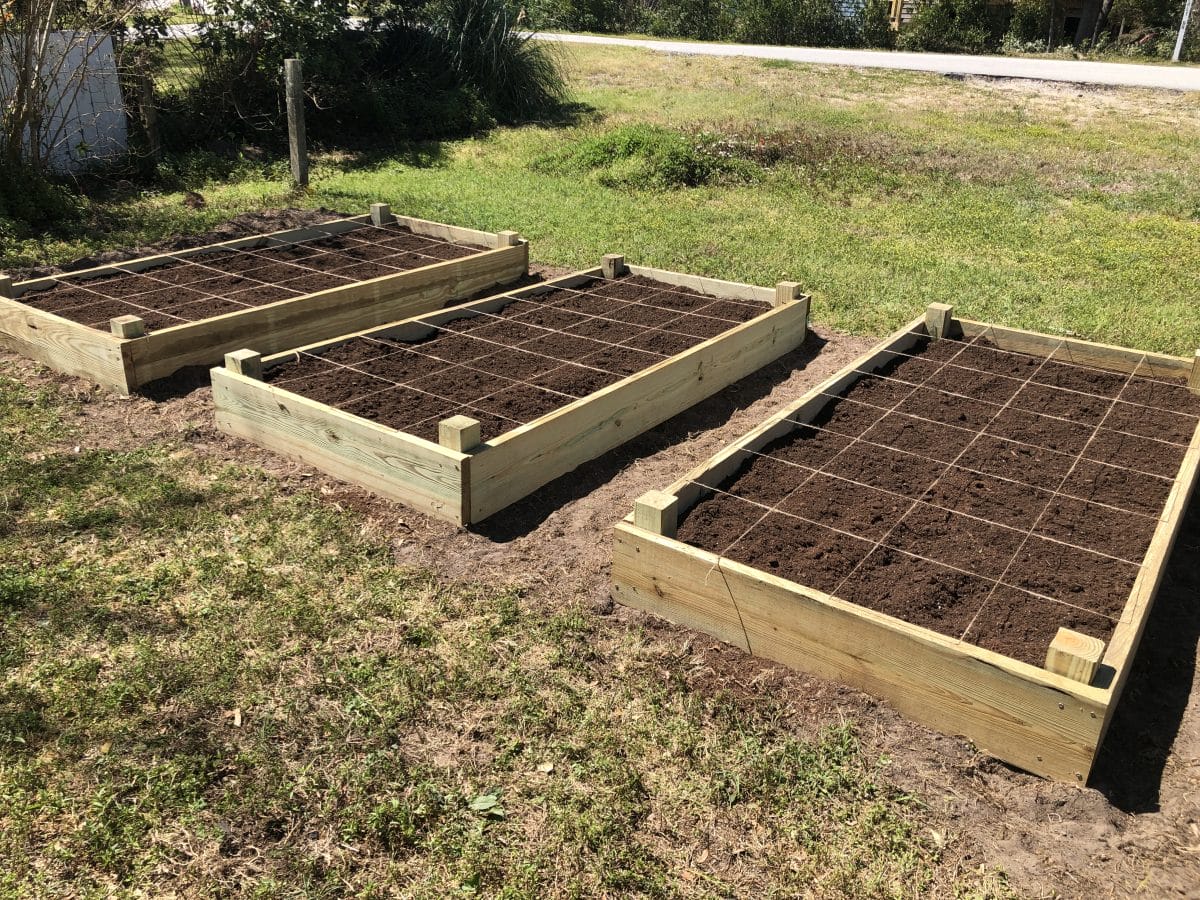 Victory Garden, Week 1: Materials & Strategy 2 Raised beds marked off for square-foot gardening