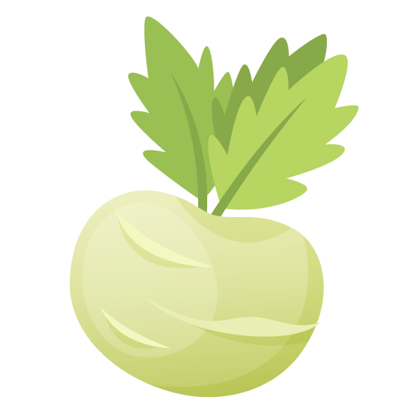 Companion Planting: Learn which plants grow well together and which pairings you should avoid 17 Kohlrabi