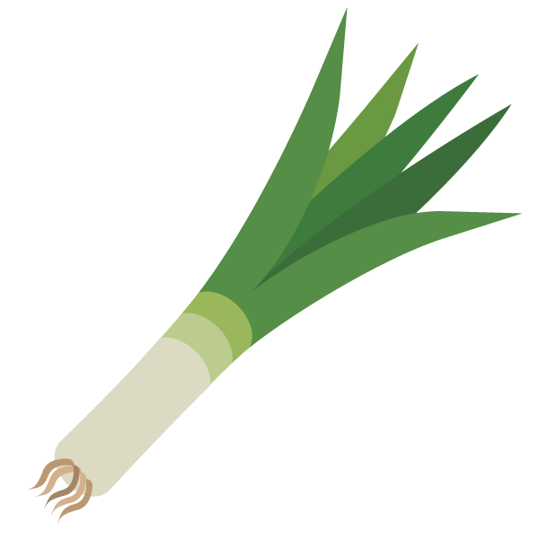 Leek