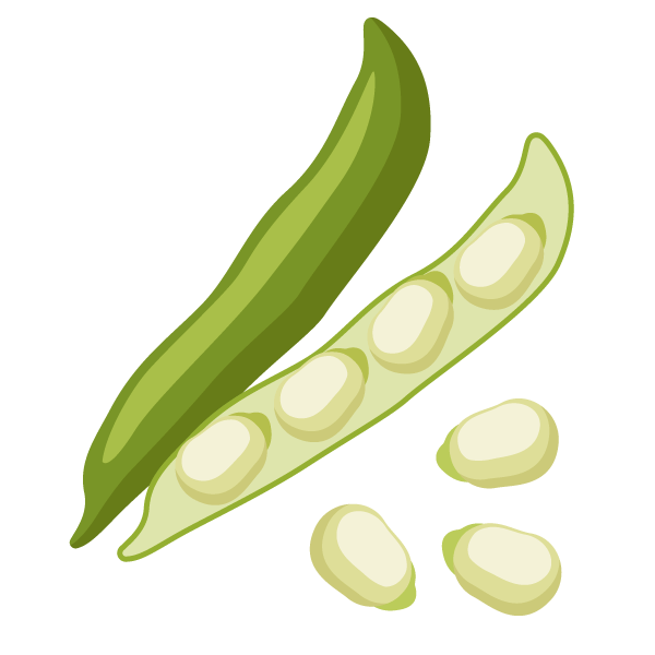 Companion Planting: Learn which plants grow well together and which pairings you should avoid 20 Lima Beans