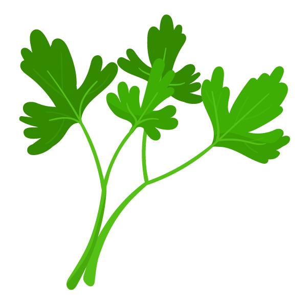 Companion Planting: Learn which plants grow well together and which pairings you should avoid 22 Parsley