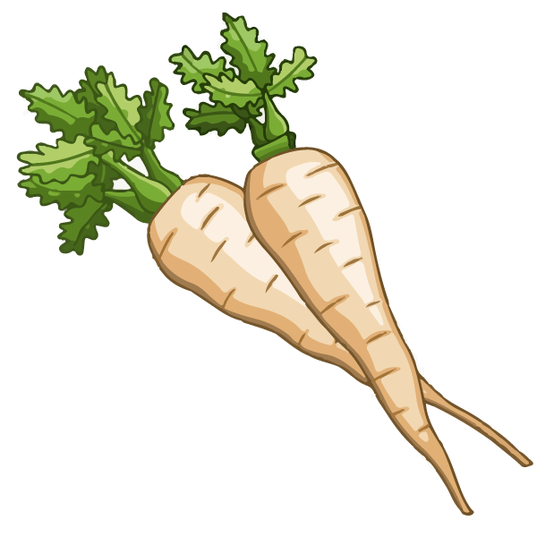 Parsnip