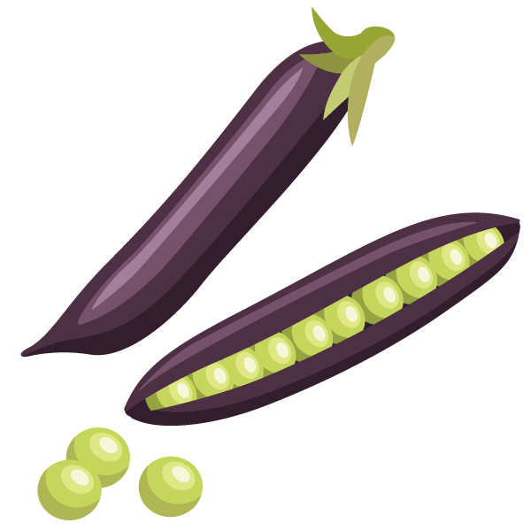 Companion Planting: Learn which plants grow well together and which pairings you should avoid 4 Pole Beans