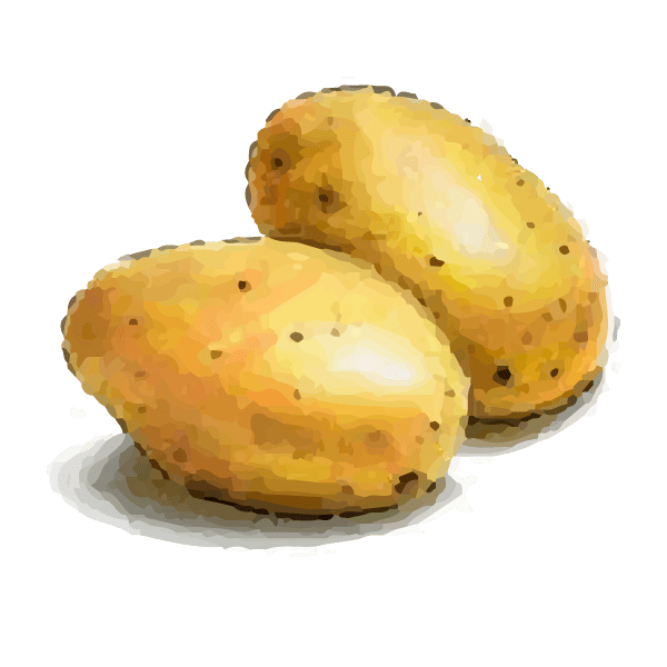 Companion Planting: Learn which plants grow well together and which pairings you should avoid 26 Potato