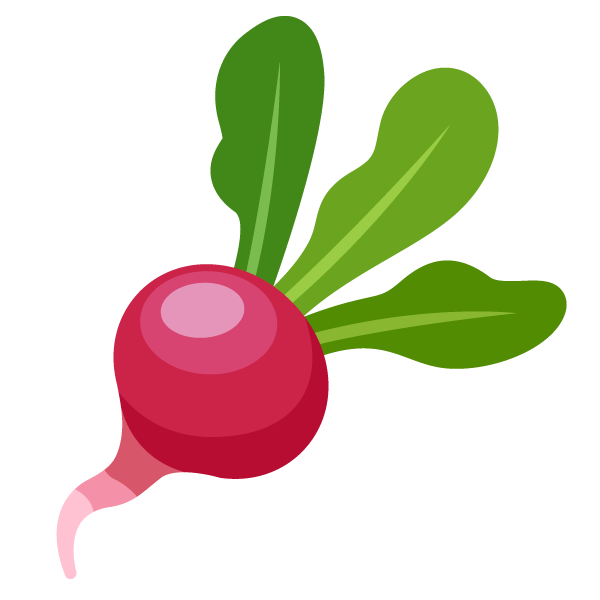 Radish
