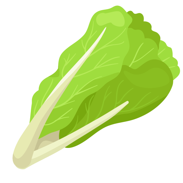 Romaine