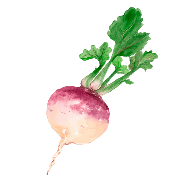 Rutabaga