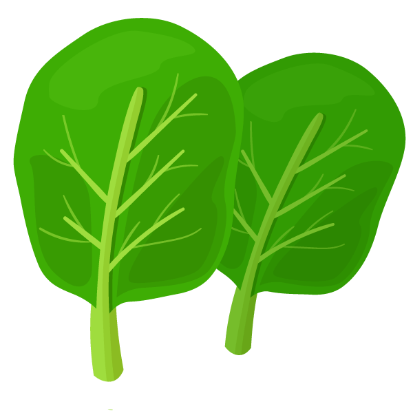 Spinach
