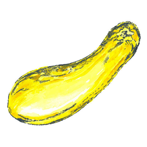 Companion Planting: Learn which plants grow well together and which pairings you should avoid 31 Squash