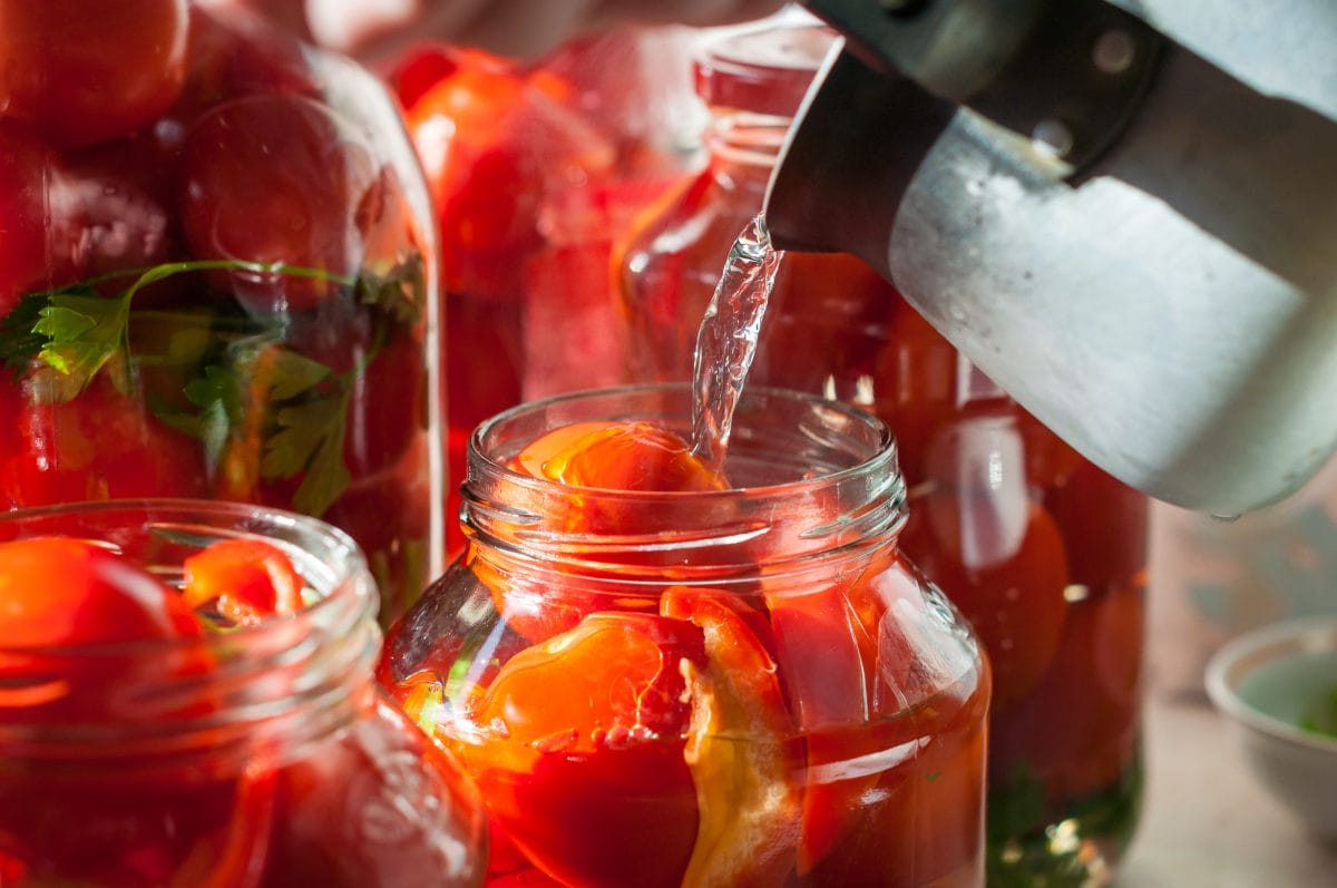 Canning Recipes 1 Canning tomatoes, Canning recipes