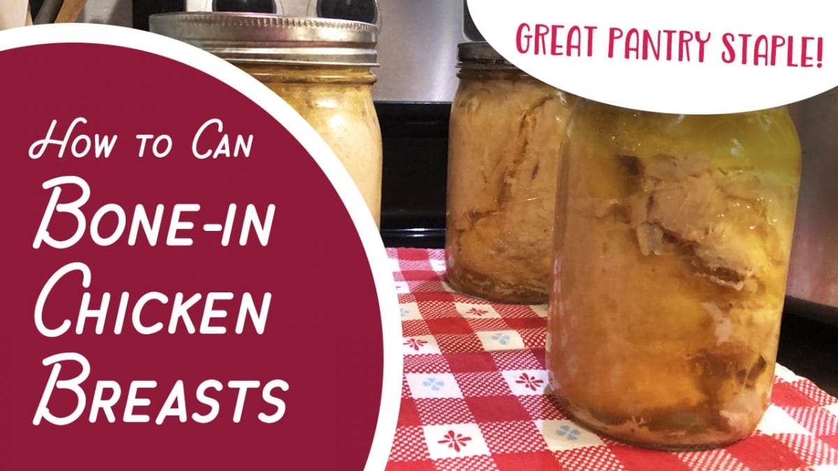 How to Can Bone-In Chicken Breast - No precooking! It cooks right in the jar! 1 How to can bone-in chicken breasts