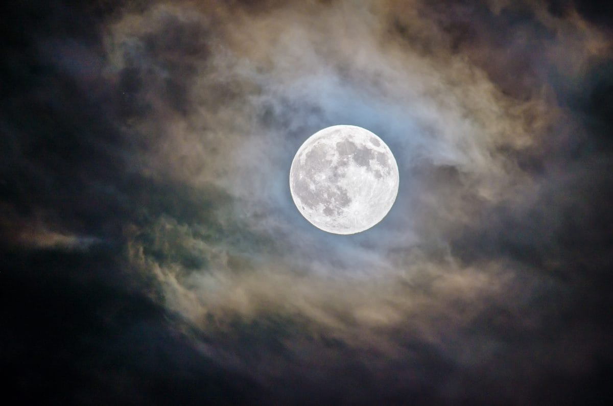 Gardening by the Moon 1 Photo by Ganapathy Kumar / Unsplash, Gardening by the moon