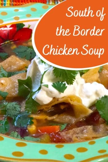 Pressure Canning South of the Border Chicken Soup 1 South of the Border Chicken Soup