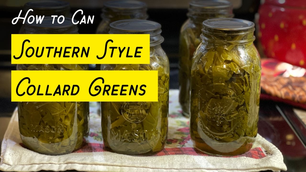 Canning Collard Greens with Seasoned Broth