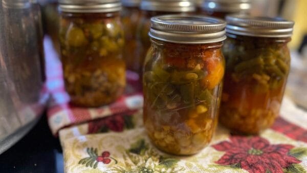 Summer Vegetable Soup